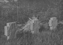 Niederzier-ehemalige Ortschaft Lich-Steinstra